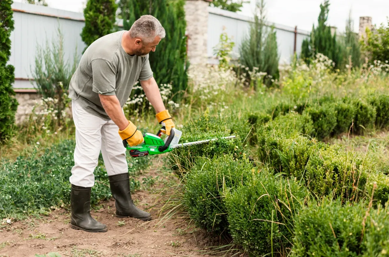 A landscaper in work gloves and rubber boots trimming a row of boxwood shrubs with a green electric hedge trimmer