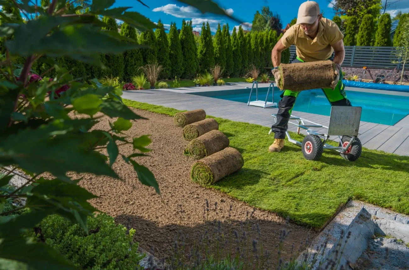 A landscaper in a cap and work gloves lays rolls of sod on prepared soil beside a backyard pool